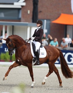 KWPN proclaimed Independent Little Me the Gelderlander Horse of the Year 2020. This KWPN registered stallion is by the Danish warmblood registered and Hanoverian bred UNO Don Diego (by Dressage Royal x Falkland) out star preferent Dutch warmblood mare Wendela (by San Remo x Glendale x Nepal x Millers Grey xx) - KWPN named him a