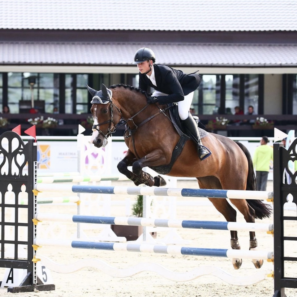 Horseexpert | Александр Беларев о предстоящих Всемирных молодёжных играх в  Ахене: «У меня нет права проиграть»