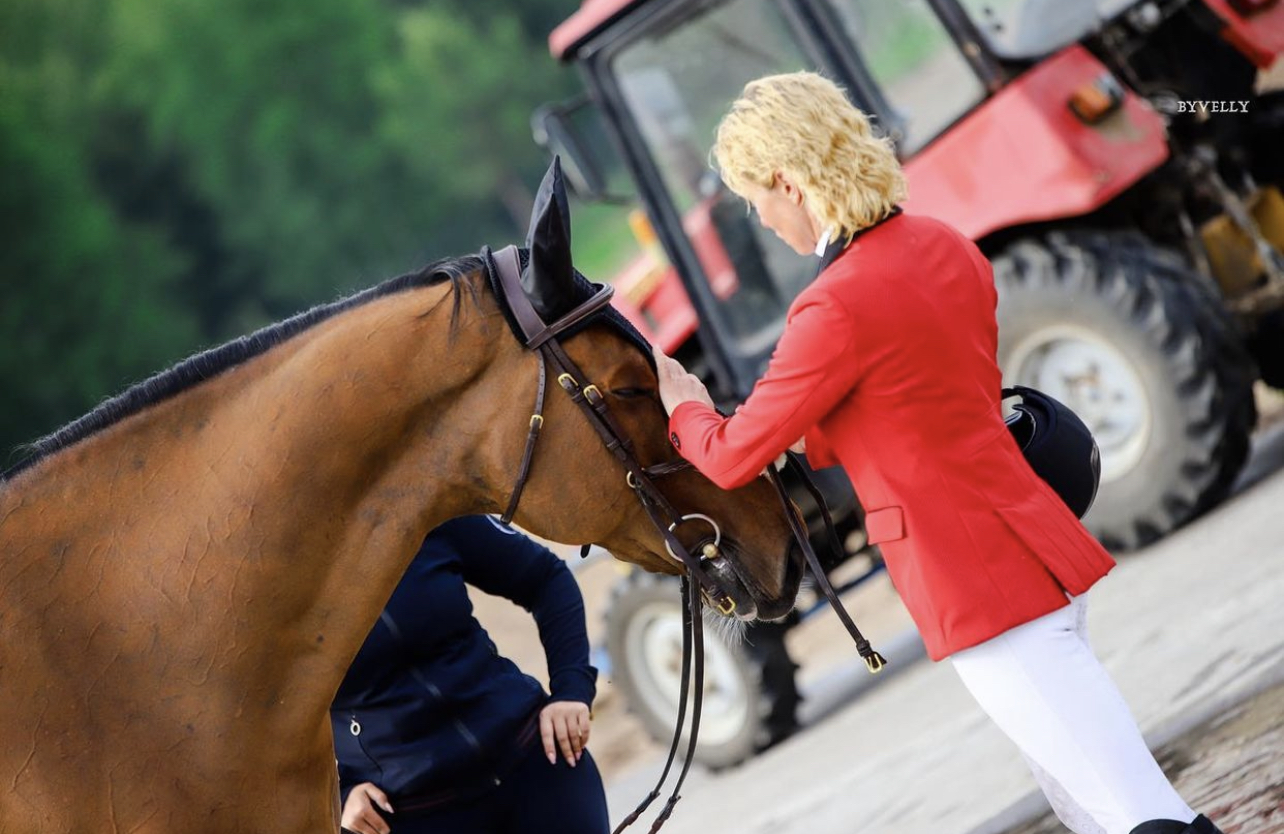 Horseexpert | Доверие лошади к всаднику