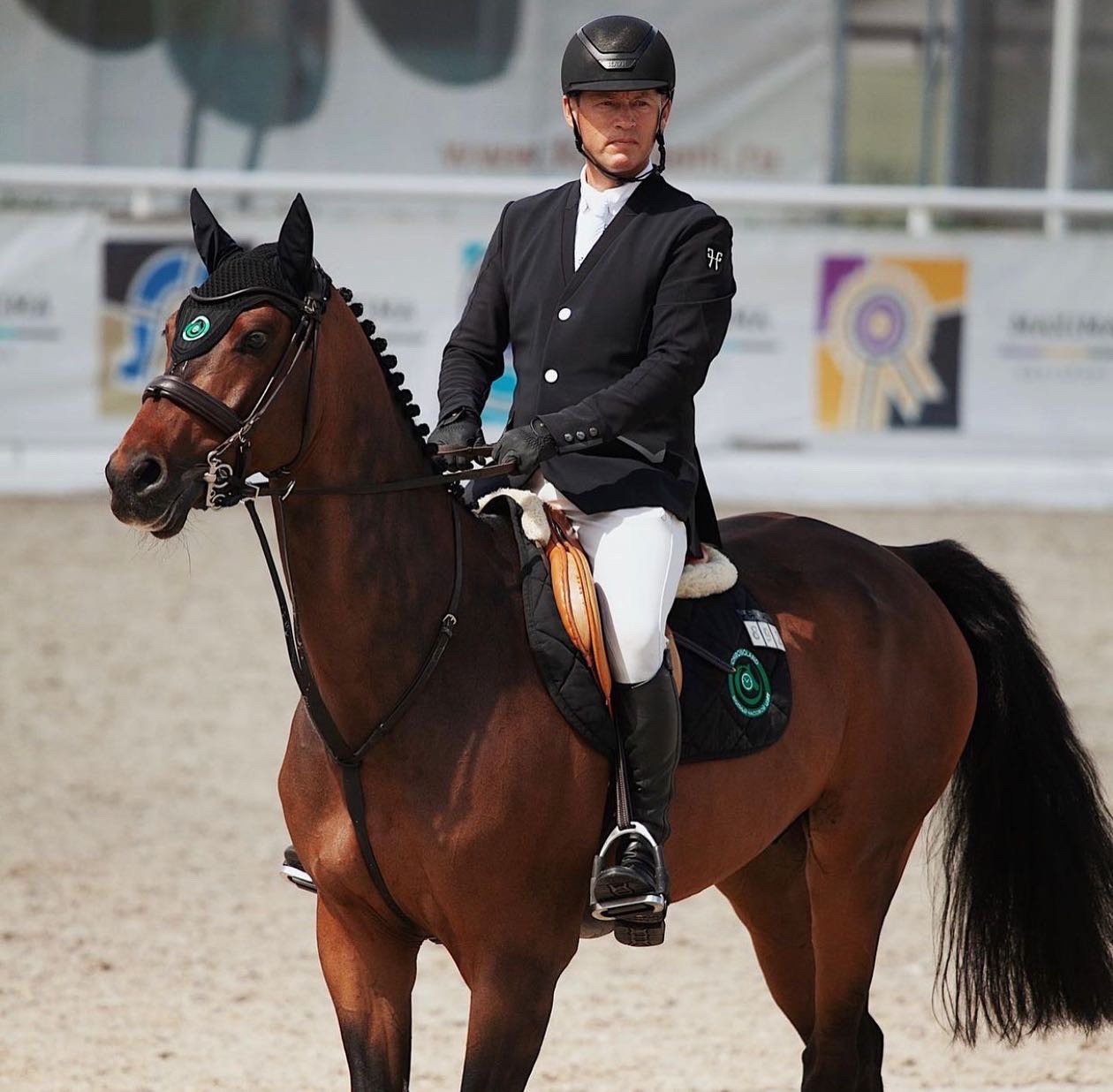 Максима эквиспорт. Самые популярные конники. Maximaequisport.