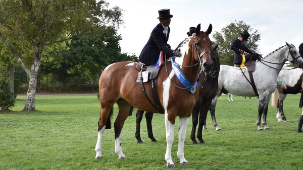 RIHS ladies’ hunter championship