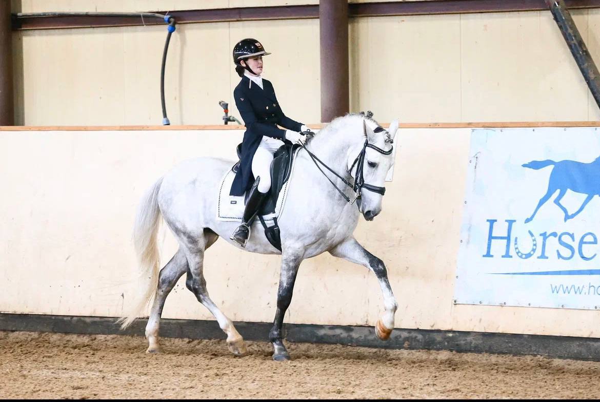 Horseexpert | Аренда лошади: где найти боевого партнёра и как избежать  подводных камней