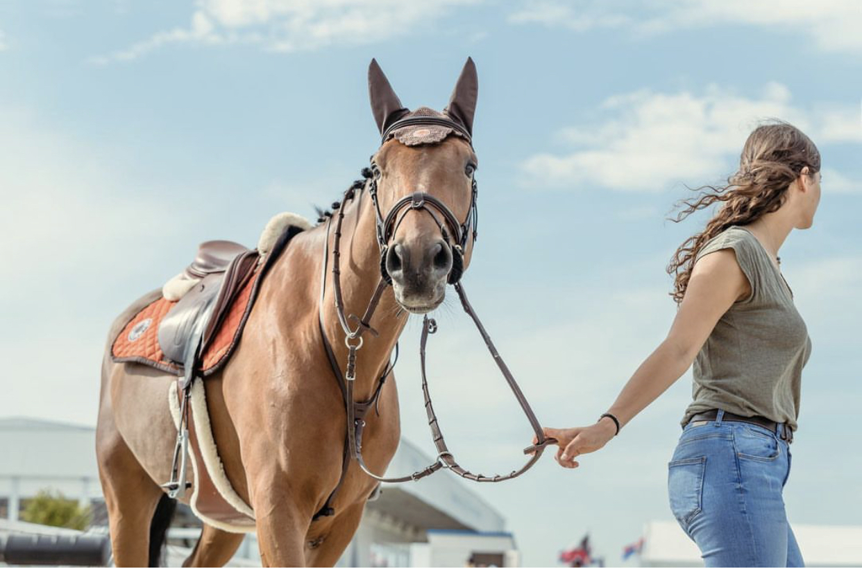 Horseexpert | Профессия коновод исчезает?