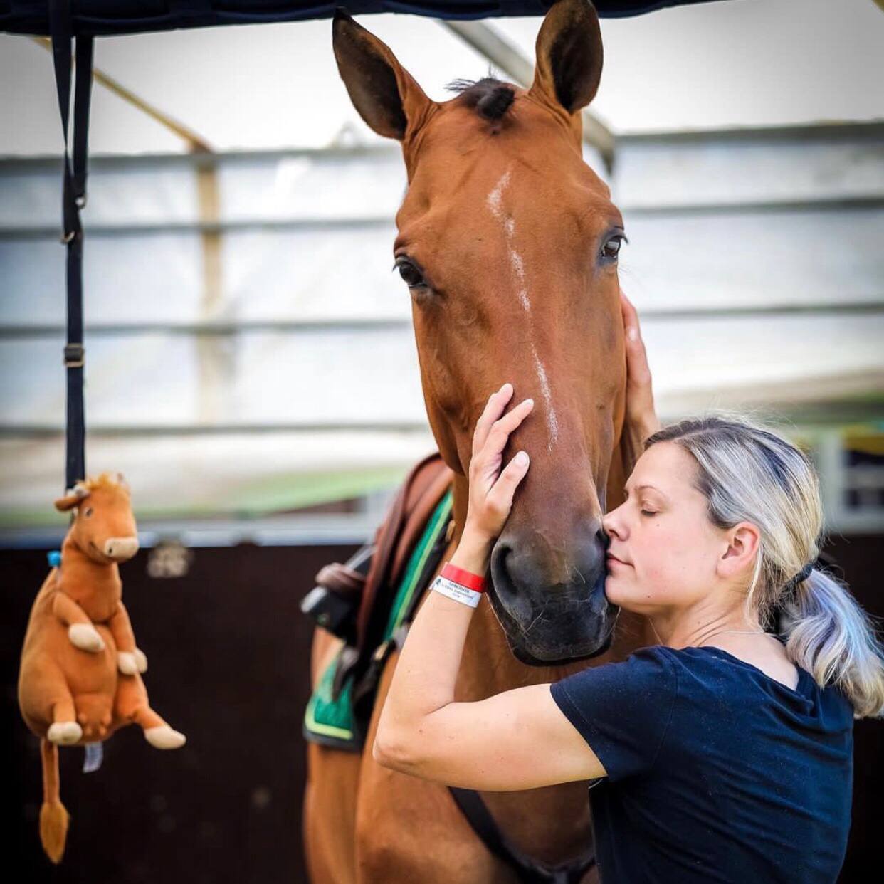 Horseexpert | 8 вещей, которые не стоит делать в гостевых конюшнях