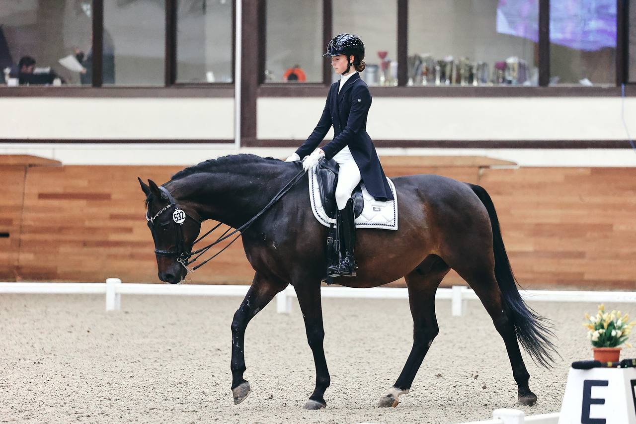 Horse expert. Максима Стейблс. Maxima stables.