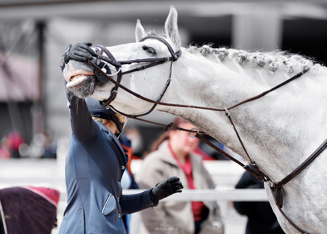 Horseexpert | 7 самых распространённых ошибок начинающего коневладельца