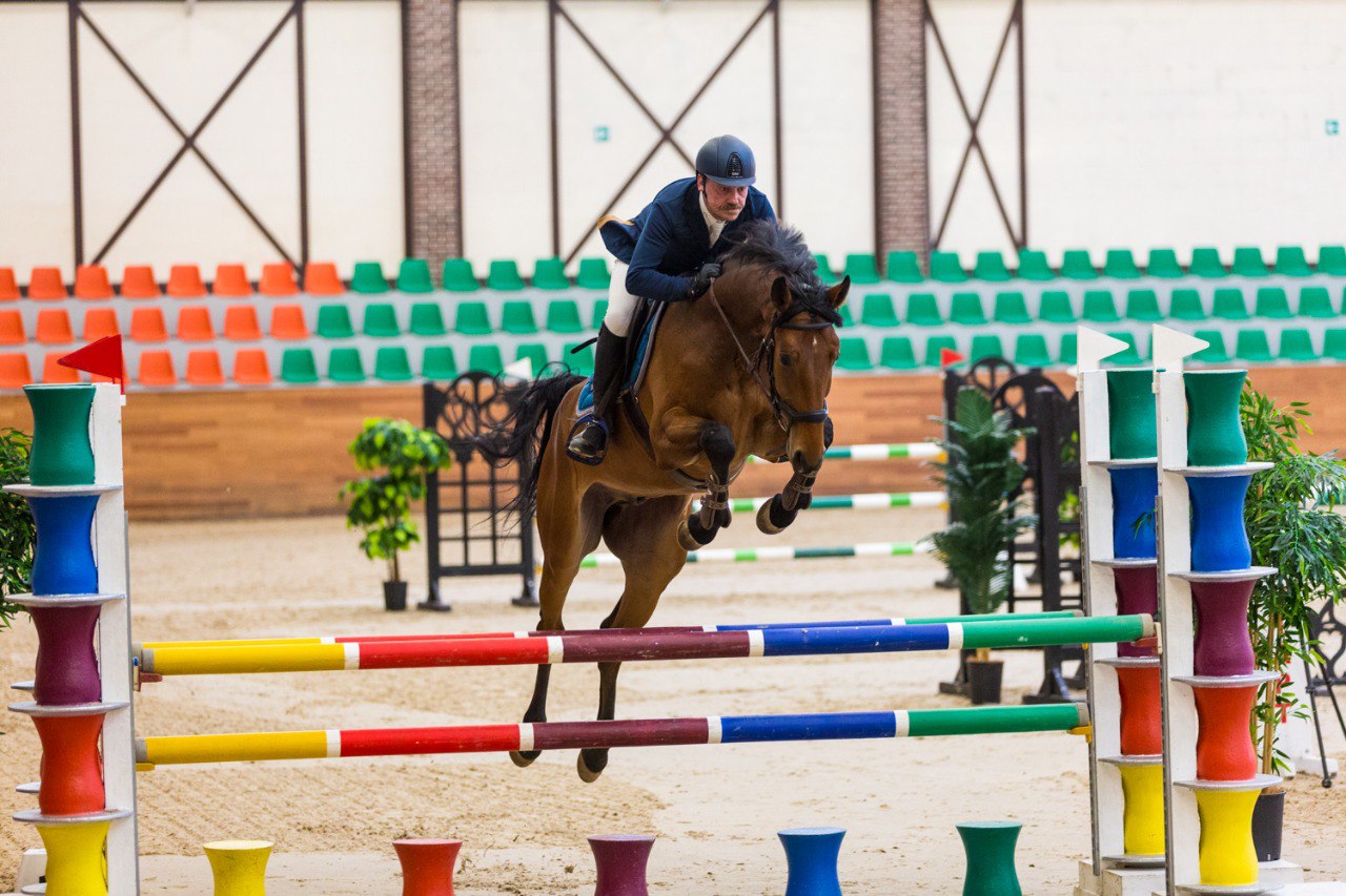 Horseexpert | Молодые лошади продолжают покорять Гранд-манеж Maxima Park