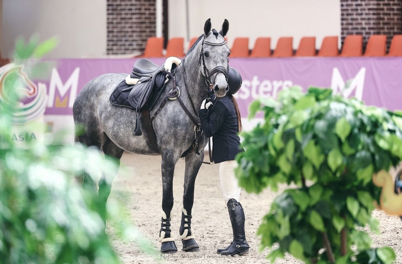 Horseexpert | Тео Плогмейкерс: «В основе нашей политики должно лежать  благополучие лошади!»