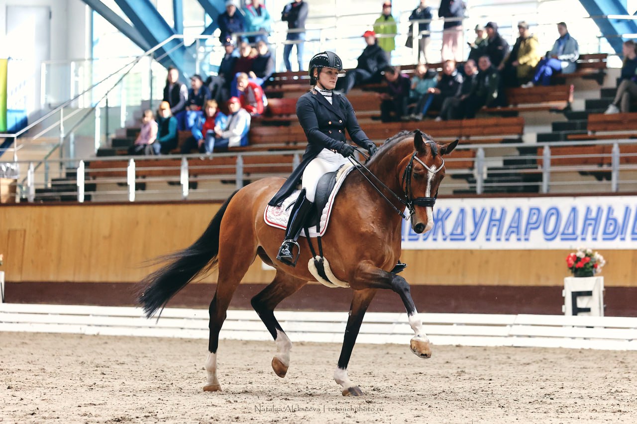 Horseexpert | Евразийская выездка в Минске: белорусский пьедестал в Малом  призе