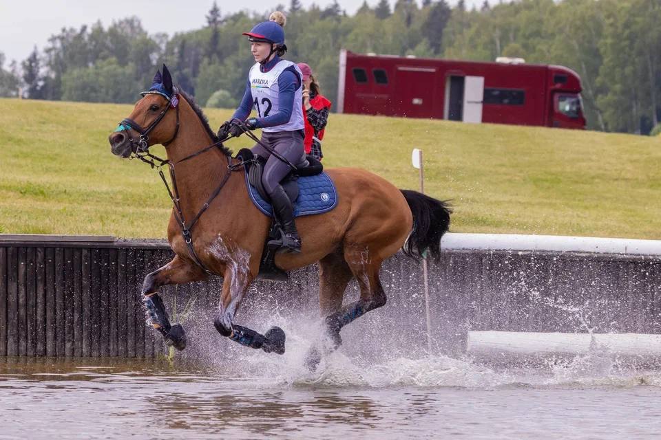 Horse expert. Maxima Park.