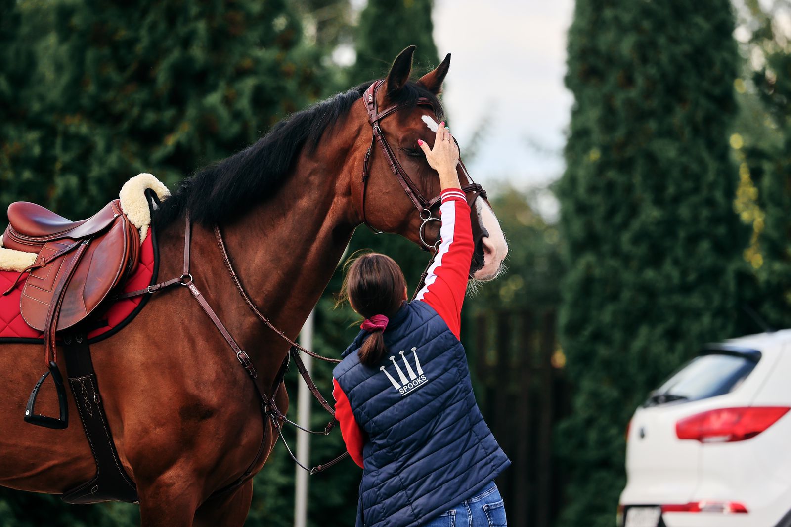 Horseexpert | 10 работ, связанных с лошадьми, о которых должен знать каждый