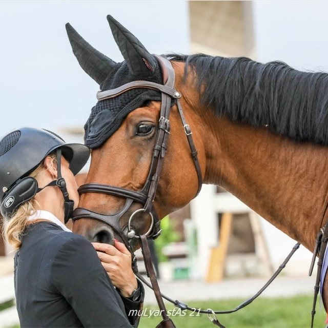 Horse expert. КСК Голден Хорс.