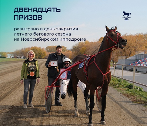 15.07.2023 Новосибирский ипподром ПРИЗ ЭЛИТЫ ПРИЗ БОЛЬШОЙ НОВОСИБИРСКИЙ ПРИЗ ГИБ