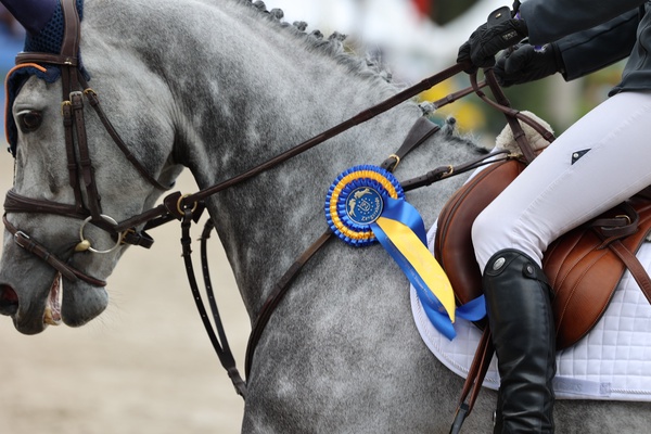 Diamant de Semilly dethrones Chacco-Blue in WBFSH Sire Ranking