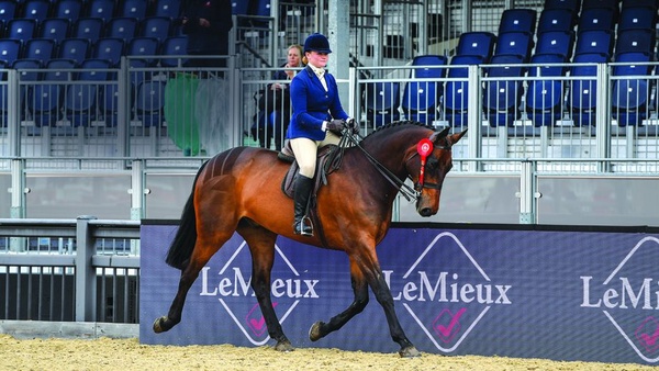 2024 Royal Windsor judges